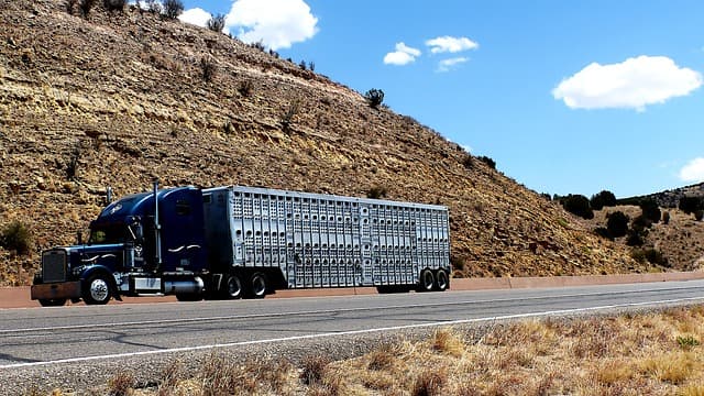 Les erreurs à éviter pour une livraison express réussie